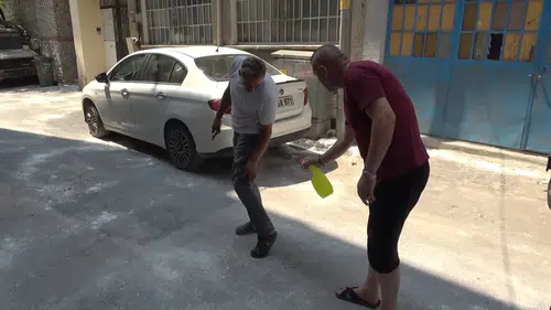 Bursa'da bir apartman sokağı pire istilasına sürükledi