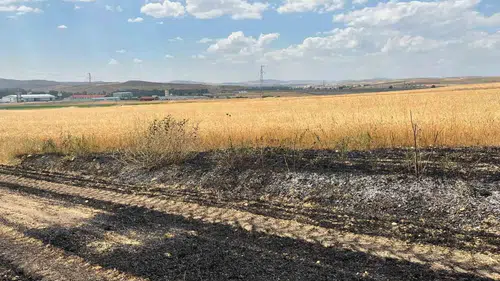 Yozgat Sorgun’da elektrik telleri tarlayı küle çevirdi