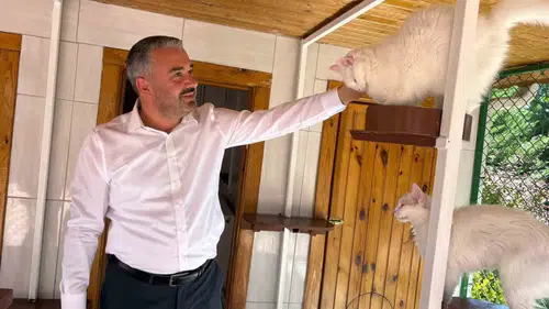 Ankara kedilerini 27 ülkeden canlı izliyorlar