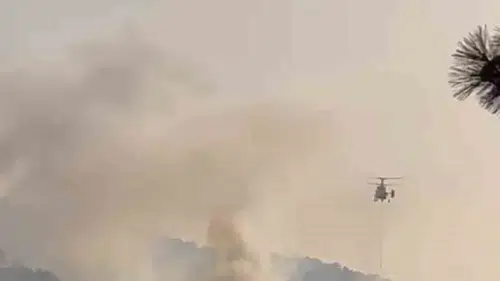 Bolu Göynük orman yangınında korkulan olmadı