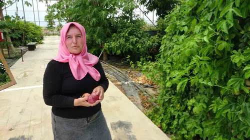 Evinin çatısından tropikal meyve bahçesine uzanan başarı hikayesi