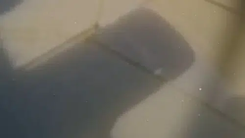 Yeşilköy sahilinde denize kaçak atık su boşaltıldığı görüntülendi