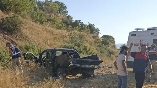 Palu yolunda sürücüsünün hakimiyetini kaybettiği kamyonet şarampole uçtu