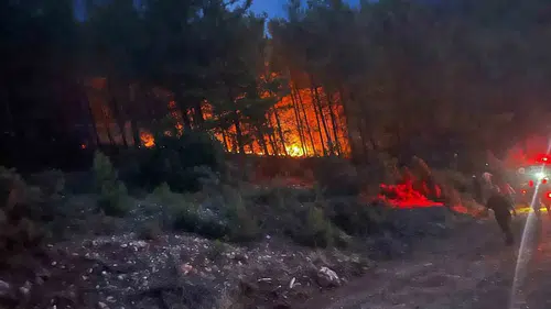 Alanya ormanlarında gece yarısı korkutan yangın