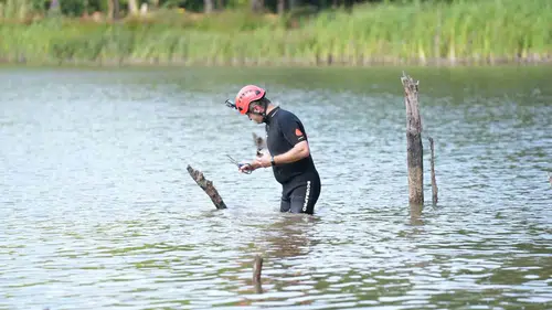 Düzce'de oltaya takılan kuşun imdadına itfaiye yetişti