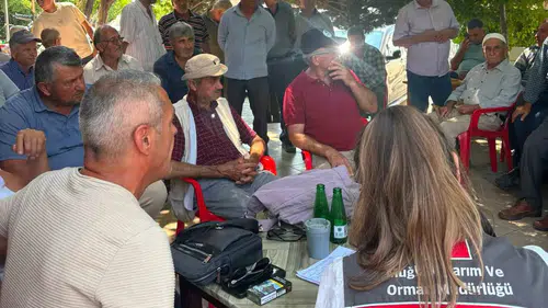 Seydikemerli üreticiye sahada uzman eğitimi