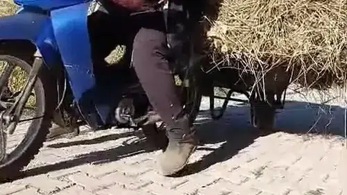 Yüksekovalı çiftçiden kış öncesi pratik taşıma çözümü