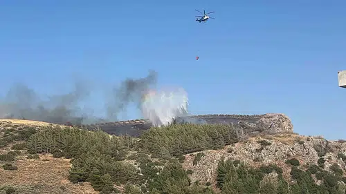 Hatay Narlıca’da orman yangını paniği