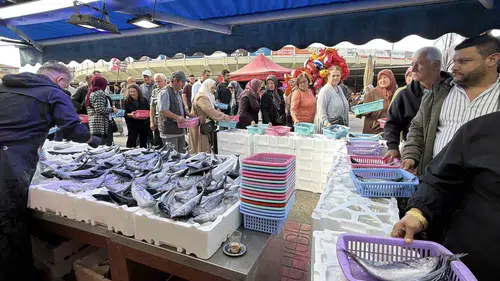 Bolu pazarında balık bereketi: Vatandaşlar uygun fiyatlı palamut için sıraya girdi