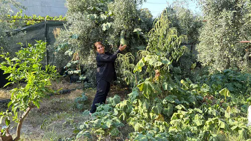 Fabrika müdürlüğünden toprakla buluşmaya: Bir kadının atalık tohumlarla başlattığı sessiz devrim