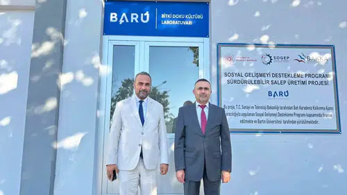 Doğanın Hazinesi Laboratuvarla Güvence Altına Alındı: Salep Orkidesi İçin Yeni Dönem