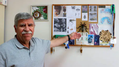 Bilim dünyasında hüzünlü veda: Profesör keşfettiği türe kaybettiği oğlunun adını verdi
