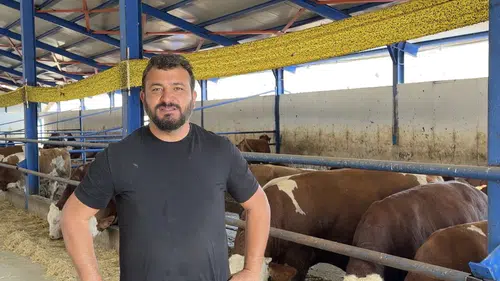 Besicinin zor anları: Kamyona binmemek için ahırı birbirine kattı