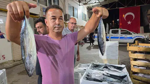 Bandırma'da ağlar denize indi: İlk günün bereketi sardalya ve palamutla geldi
