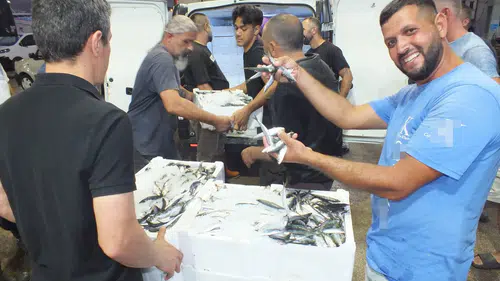 Bandırma'da denizlerin bereketi mezata taştı: Sezonun ilk gününde palamut ve sardalya izdihamı