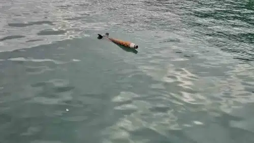 Hopa Limanı'nda gizemli cisim paniği: Sahil Güvenlik alarma geçti