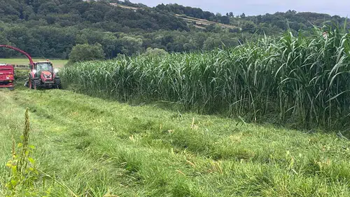Sinop tarımında devrim niteliğinde adım: Bir dekardan 30 ton verim bekleniyor