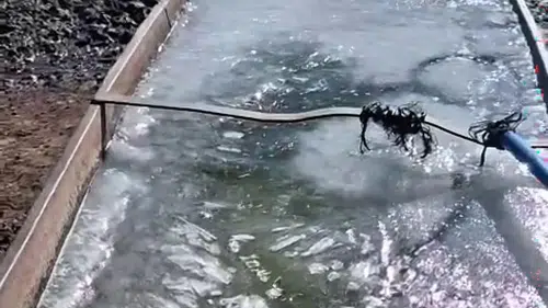 Kars'ta mevsim normallerinin dışındaki soğuklar hayatı dondurdu