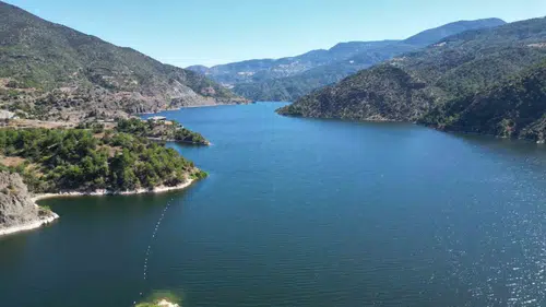 Çorum'un yeşil hazineleri artık yapay zekaya emanet: İlk sınav başarıyla geçildi