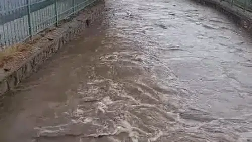 Niğde'de aniden bastıran sağanak tarım arazilerini sular altında bıraktı