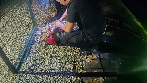 Besni'de nefes kesen operasyon: Dalgıç polisler yavru köpeğin imdadına yetişti