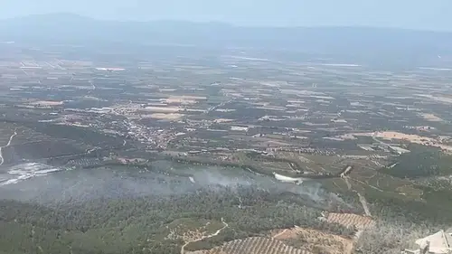 Soma'da ormanlık alanda korkutan yangın: Ekipler seferber oldu