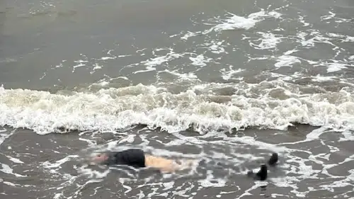 Altınordu sahilinde sabah yürüyüşü acı bir manzarayla kesildi