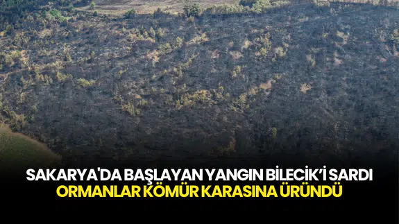 Sakarya’dan Bilecik’e Kabus Gibi Yangın! 14 Köy Boşaltıldı, Ormanlar Kül Oldu