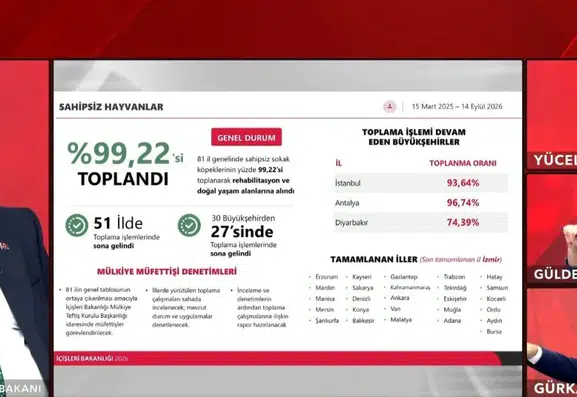 Başıboş köpek sorunu tarih oluyor: İçişleri Bakanı Mustafa Çiftçi ekim ayını işaret etti