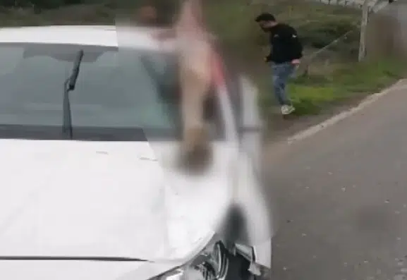 Arnavutköy'de dehşet anları: Otomobilin çarptığı atın bacağı araca saplandı