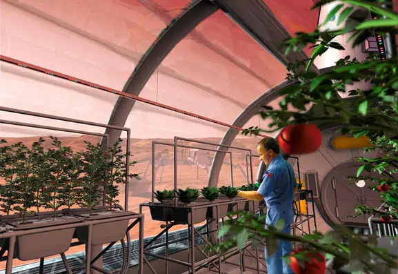 Mars toprağında tarım yapmak mantarlar sayesinde mümkün olabilir