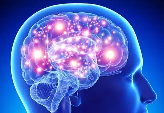 Görünmez Tehlike: Radyasyonun Beyindeki Yıkıcı Etkisi Alzheimer'ı Tetikliyor