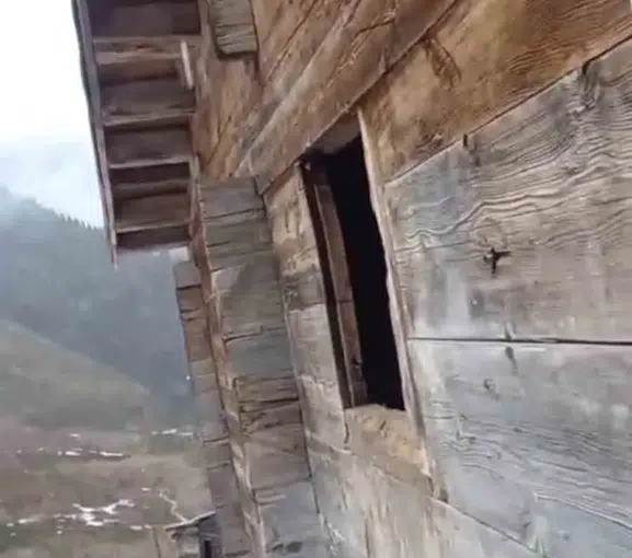 Rize’de yaylacıdan ayıya sitem Pencereyi kırma kapıdan gir