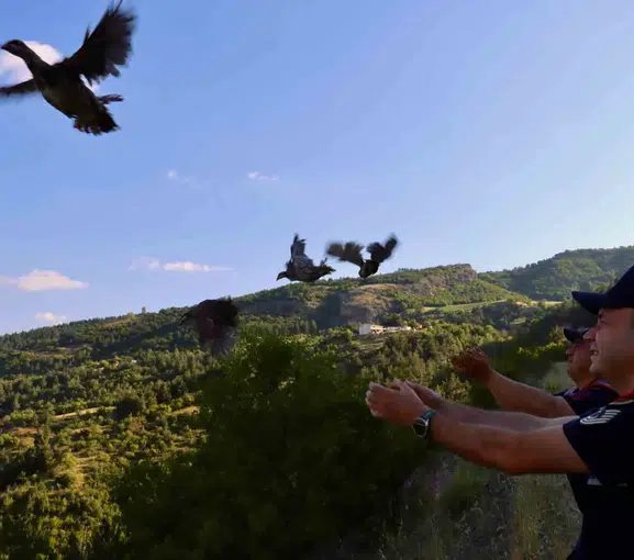 Tokat kırsalında yaban hayatı için yeni adım