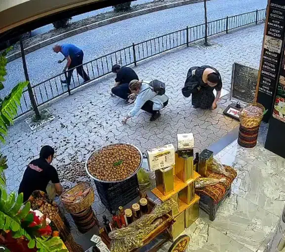 Giresun'da Sakar isimli kedi esnafın ceviz çuvalını devirdi