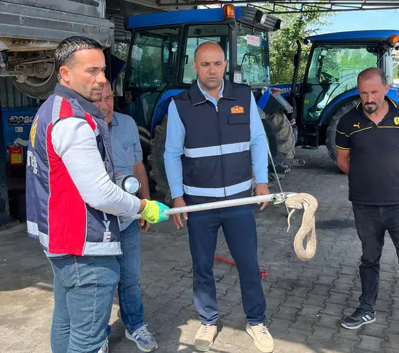Iğdır'da otomobilin motoruna saklanan davetsiz misafir