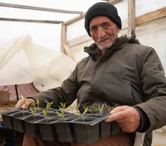 Bayburtlu çiftçi ata tohumlarını ücretsiz fide yaparak yaşatıyor