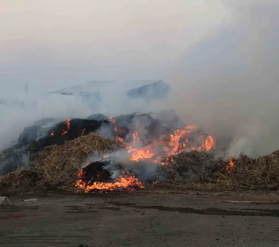 Adana'da çiftçilere anız uyarısı