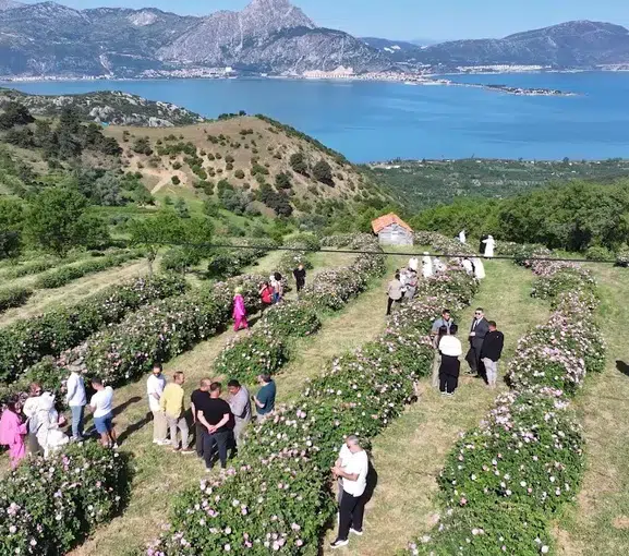 Isparta’da gül hasadı Eğirdir manzarasıyla şenliğe dönüştü