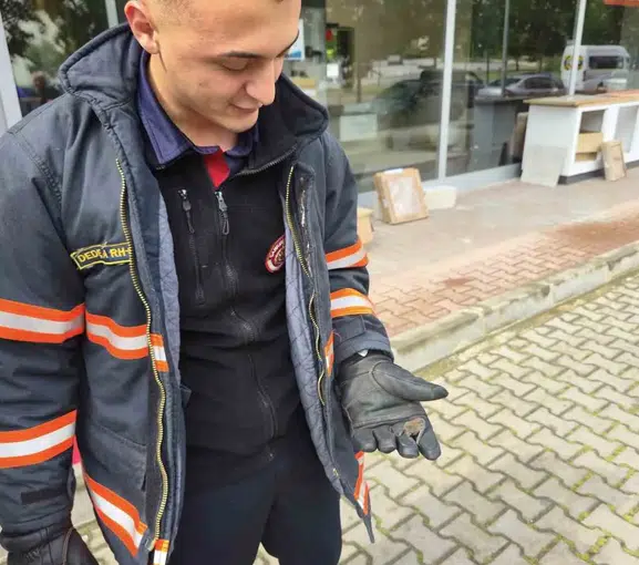 Çankırı'da bulunan yavru yarasa veteriner kontrolüne alındı