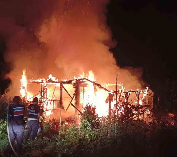 Bilecik'te gece vakti çıkan yangın kulübeyi kullanılamaz hale getirdi