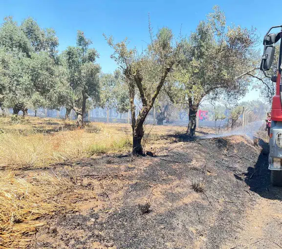 İzmir Bayındır’da tarım arazilerini saran yangın korkuttu