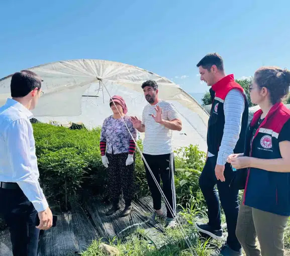 Bozdoğan seralarında verim takibi