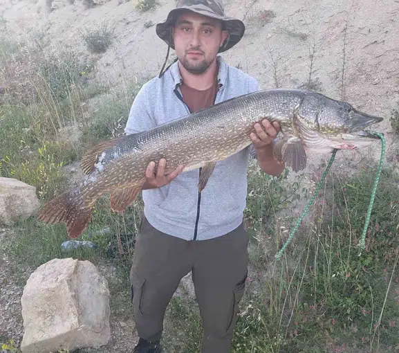 Karabük’teki gölette dev turna balığı yakalandı