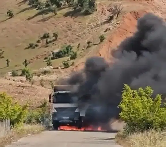 Siirt Eruh yolunda kamyon yangını