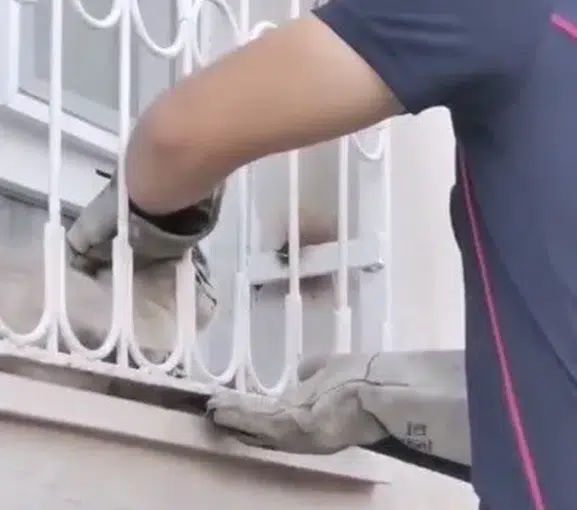 Osmaniye'de mahsur kalan kediye itfaiye yardımı