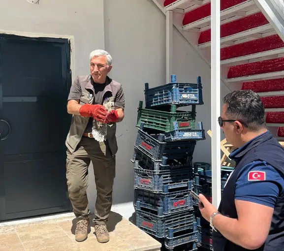 Malatya’da zabıta ekiplerinden minik bir misafir