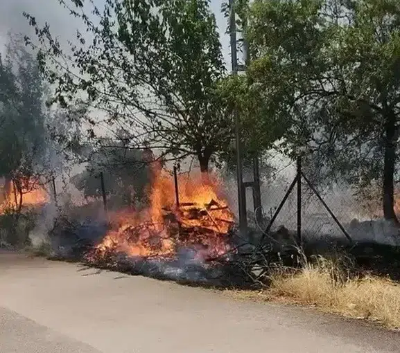 Adıyaman Karadağ’da orman yangını paniği