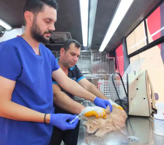 Balıkesir sokaklarında mobil veteriner dönemi