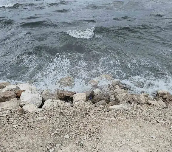 Van Gölü kıyılarında rüzgarın yarattığı dev dalgalar sahili vurdu